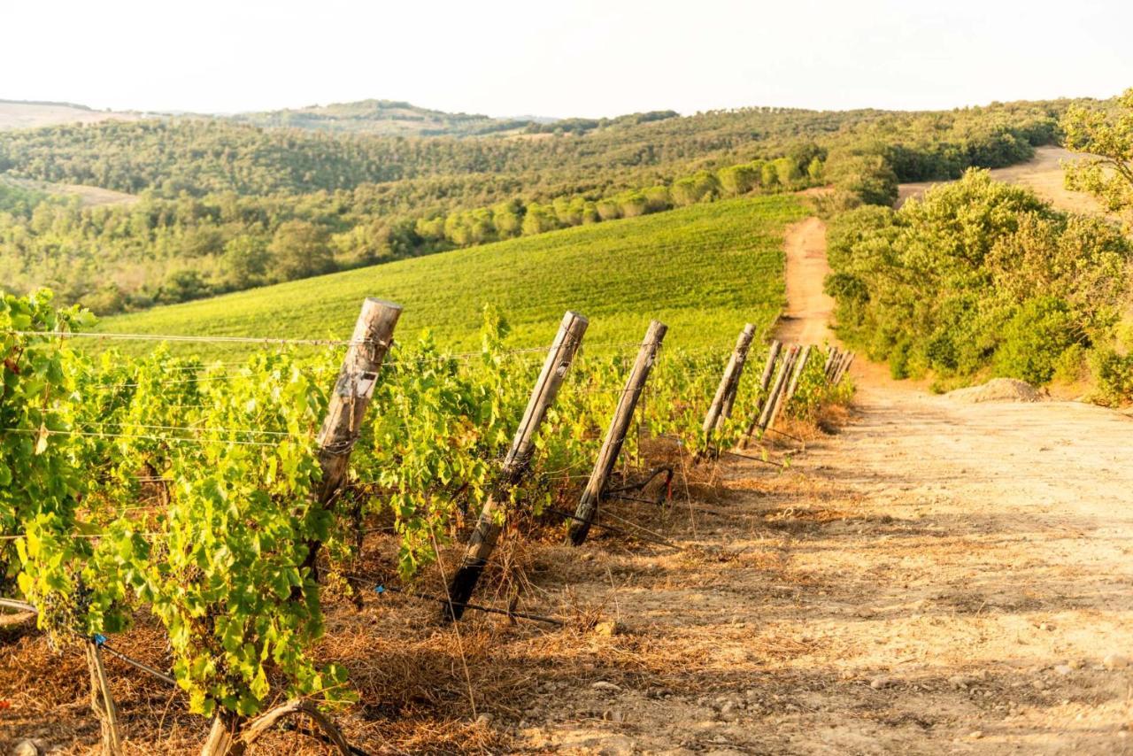 Agriturismo & Cantina Tenuta Casteani Ribolla Екстериор снимка