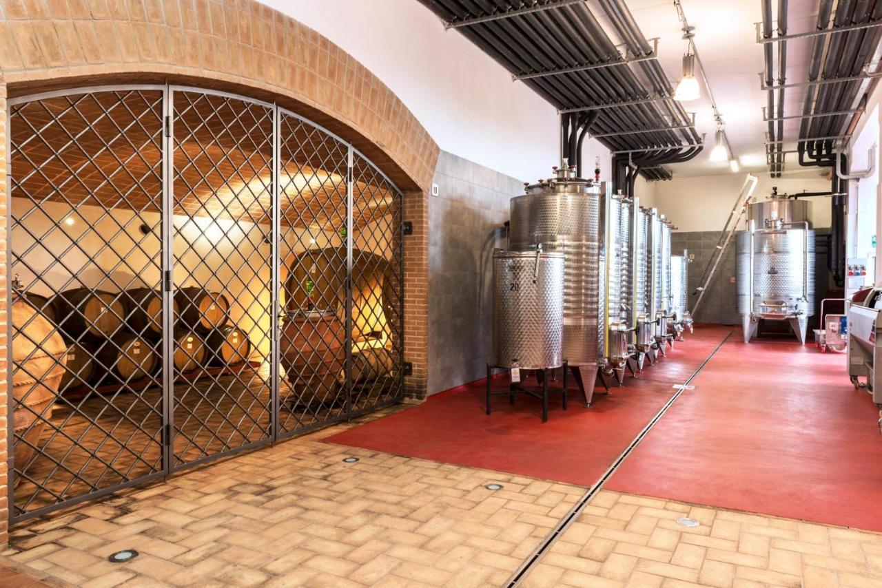 Agriturismo & Cantina Tenuta Casteani Ribolla Екстериор снимка