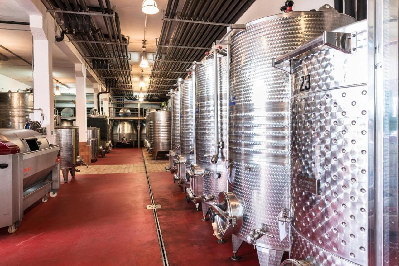 Agriturismo & Cantina Tenuta Casteani Ribolla Екстериор снимка